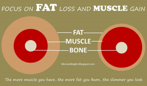 Focus on fat loss and muscle gain Fat Loss Quotes