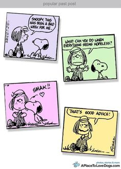 charles schultz quotes | charles schulzmashup designed and published ...