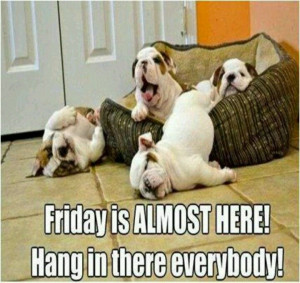 Almost Friday Quotes | Hang in there it's almost Friday | hillllarious