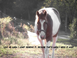 Painted Pony Quote Photograph