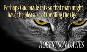 Cats quote