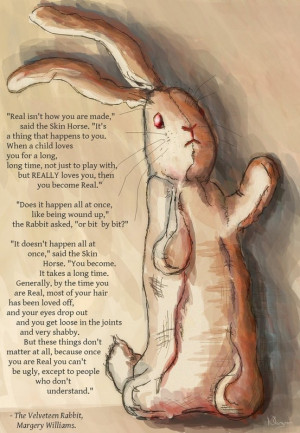 the velveteen rabbit