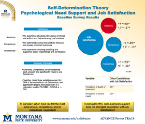 Self Determination Self-determination theory