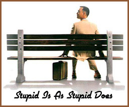 ... nations source income window forrest gump STUPID IS AS STUPID DOES