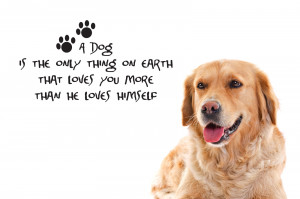 Dog Quotes HD Wallpaper 2