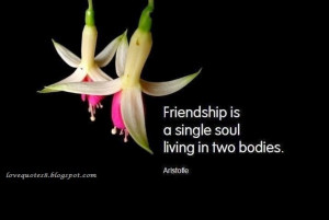 Love Quotes Friendship Quotes Quotations Messages Images