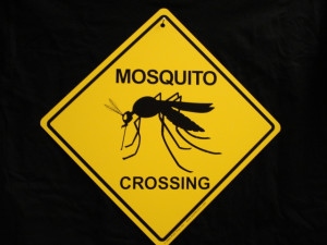 enlarge mosquito crossing sign funny cute insect repellent bite