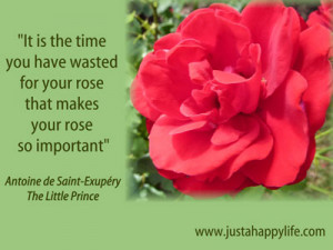 Little Prince Rose Quotes