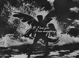 hush hush quotes - Google Search