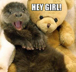 Funny Pictures Otters Nails