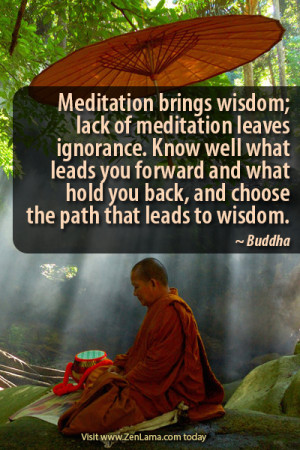 Meditation brings wisdom; lack of meditation leaves ignorance.