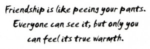 Friendship is Like Peeing Your Pants Friend Deffinition