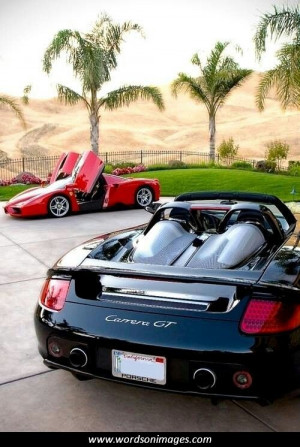 added by picture quotes posted under more quotes report image