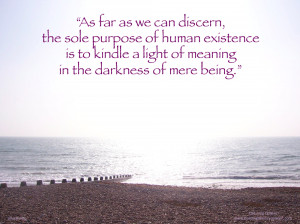 The sole purpose of human existence.png