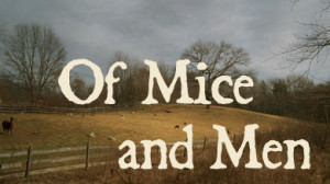 36 mice wide puppy ontario farm rabbits animals lennie of mice and men ...