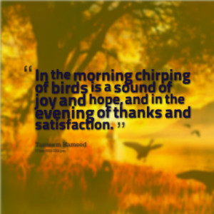 In the morning chirping of birds is a sound of joy and hope, and in ...