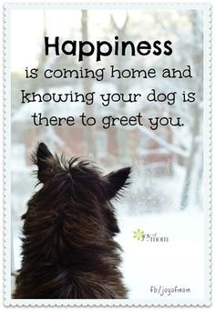 ... quotes love dog mom quotes happiness quotes puppi knowing how you feel