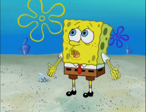 Transcript | Pictures | Discussion