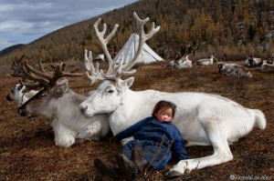 Reindeer Farm, Mongolia / Funny Pictures, Quotes, Pics, Photos, Images ...