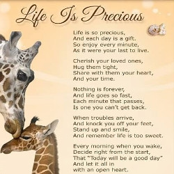 life quotes photo: Life is Precious zLifeisPrecious_zps339e3f9c.jpg