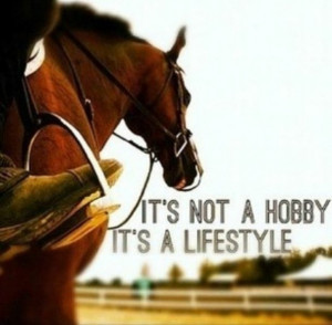 Horse Quotes - horse anecdotes - Pinterest