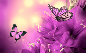 Purple Flowers Butterflies HD Wallpapers