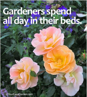 gardening sayings