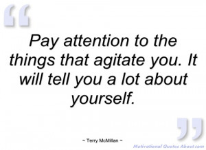 pay attention to the things that agitate terry mcmillan