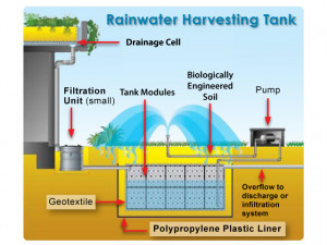 Rain Water Harvesting