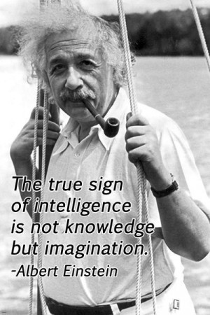 The Wisdom Of Einstein Famous Quote Poster 24x36 FREE SHIPPING