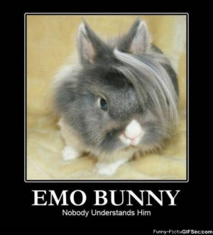 Introducing the Emo Bunny