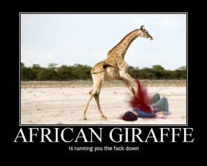 Funny Giraffe Pictures with Captions