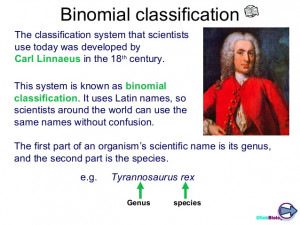Carolus Linnaeus System Of Classification Binomial classification
