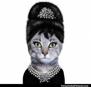 Breakfast at Tiffany's Cat ... Click to see more #FunnyPics & #quotes