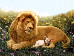 leão e o cordeiro Vetor