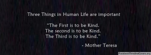 life are important mother teresa 490x181 Three things in human life ...