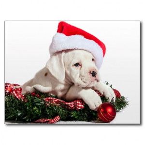 christmas boxer boxer dog christmas 8009840 jpg christmas boxer dog ...