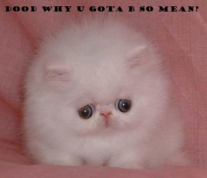 ... : Grumpy Cat , Angry Cat Quotes , Grumpy Cat Quotes , Mean Cat Meme