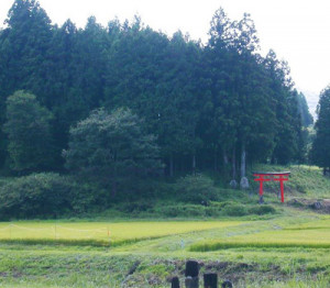 JINJA HONCHO - Association of Shinto Shrines