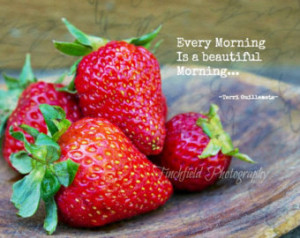 famous quote art, rustic still life photography, red strawberries ...