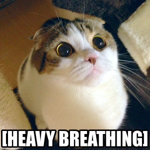 06-13-2014, 12:31 AM)