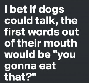 what if dogs could talk