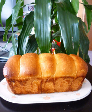 ... Toast Bread 波特吐司 (湯種法) - Featured in Group Recipes