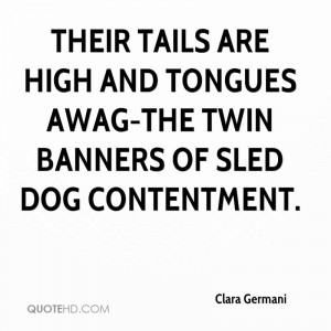 Their Tails Are High And Tongues Awag-The Twin Banners Of Sled Dog ...