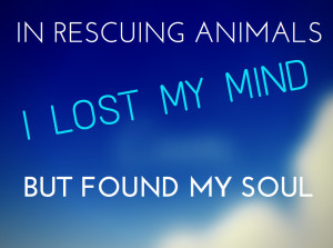 Inspirational Rescue Dog Quotes