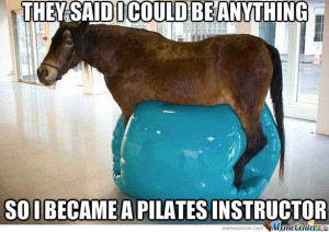 Pilates Horse