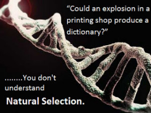 You may not understand natural selection.