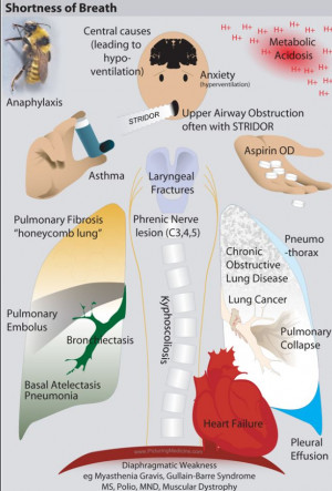 Shortness Of Breath