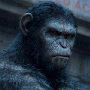 Dawn of the Planet of Apes Quotes