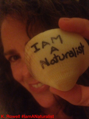 am a Naturalist — I use careful observations of the natural world ...